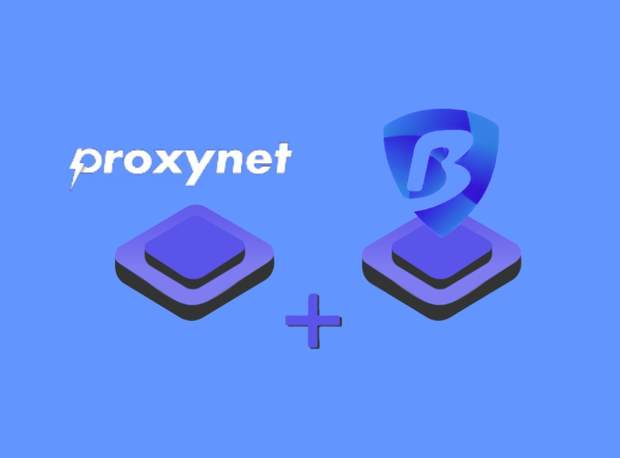 How to set up Proxynet in BitBrowser？