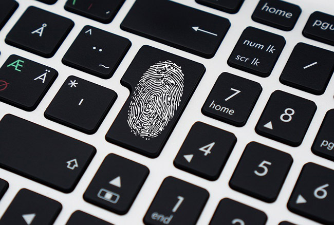 Fingerprint Browser