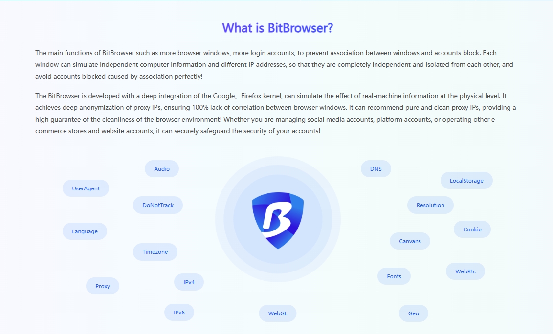 IP dedicated anti-detection browser