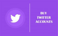 Top 5 Sites To Buy Twitter Accounts