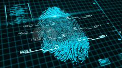 What is Fingerprint Browser? What is the important role for