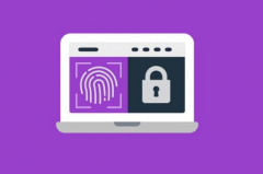 Browser Fingerprint Anti-Tracking Technology