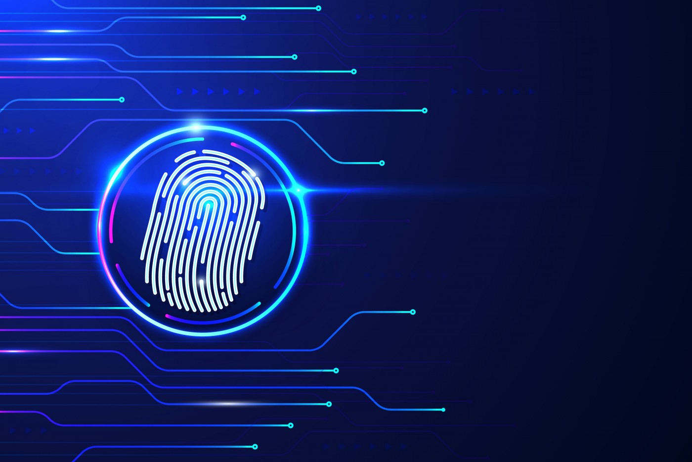 Fingerprint Browser