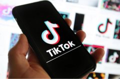 How the virtual fingerprint browser operates and manages TikTok accounts