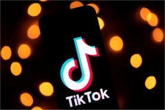 Fingerprint browser counter -tracking easily realizes TIKTOK multi -account operation