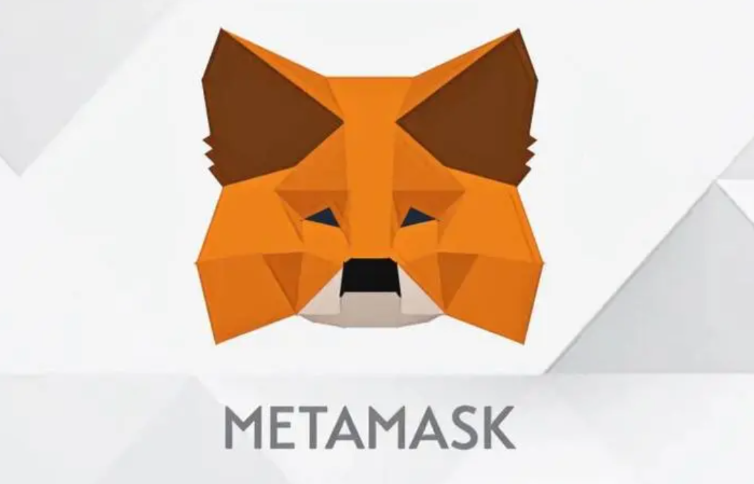 How to install the expansion plug -in: MetaMask