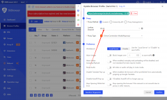 How to use IP settings for fingerprint browsers?