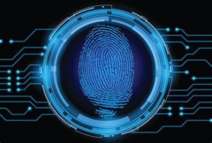 BitBrowser protects real fingerprint information—screen resolution fingerprint