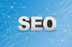 Professional seo tools, seo-specific browser functions and functions