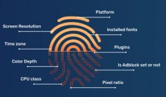 Fingerprint Browser: A New Tool for Internet Security and Privacy