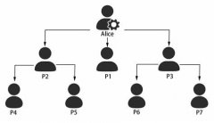 Effective Permission Allocation and Management within BitBrowser